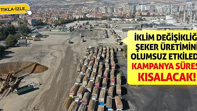 İklim değişikliği şeker üretimini olumsuz etkiledi! Kampanya süresi kısalacak!