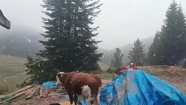Ilgaz Dağı'nda kar yağışı başladı