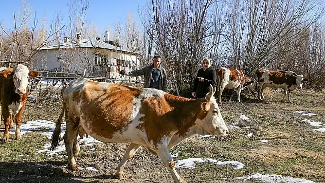 İŞKUR'un hibe desteğiyle engelliler iş hayatına atılıyor