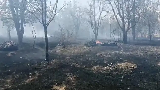 Isparta'da meyve bahçesinde çıkan yangında ağaçlar ve samanlar kül oldu