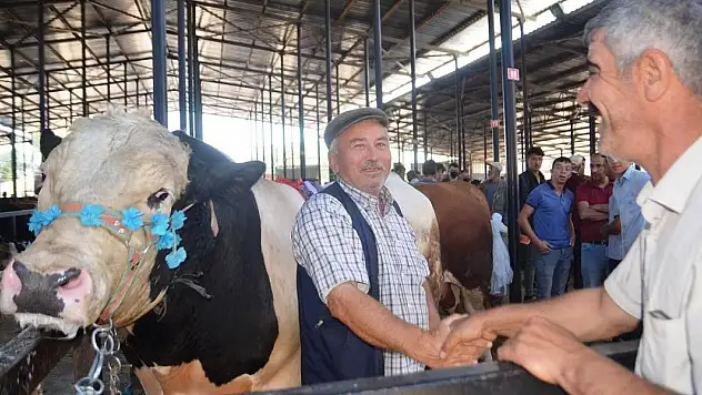 İşte uzmanından kurban seçimi ve kesimiyle ilgili dikkat edilecek hususlar