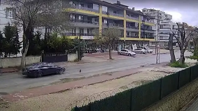 İzleyenlerin boğazı düğümlendi! Yavrusu hiç ayrılmadı, sürücü basıp gitti!