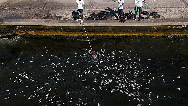 İzmir Körfezi Acil Eylem Planı hazırlanacak