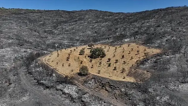 İzmir'de önceden otlardan temizlenen bahçe yangından etkilenmedi