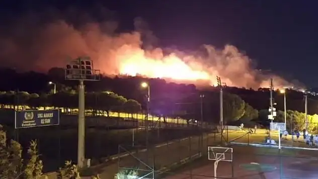 İzmir'de orman yangını