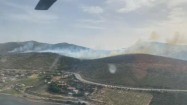 İzmir'de orman yangını