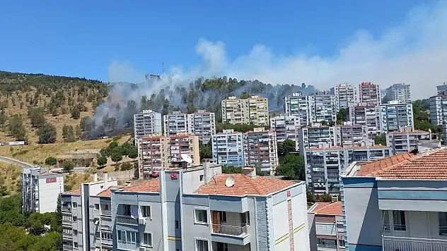 İzmir'de orman yangını