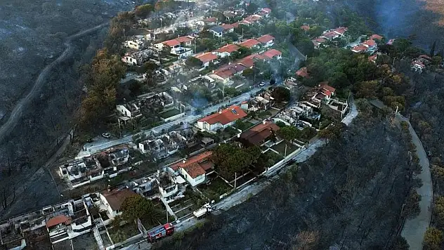 İzmir'de orman yangınları sonrası hasar tespit çalışmaları tamamlandı
