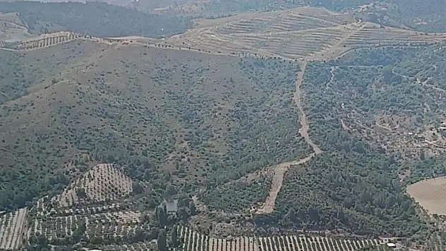 İzmir'de ormanlık arazide çıkan yangın kontrol altında