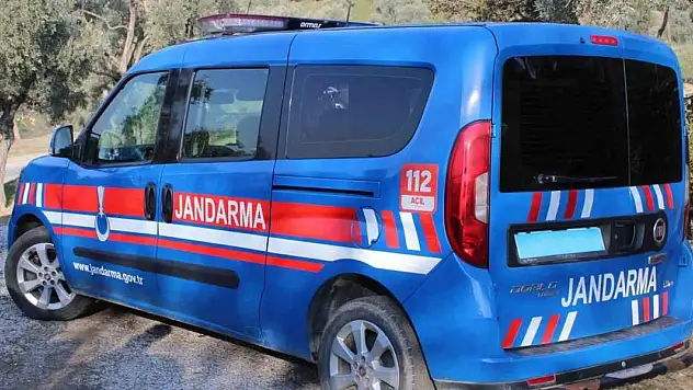 Jandarma incir hırsızlarına göz açtırmıyor
