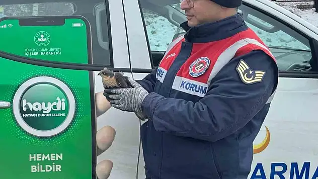 Jandarmadan atmacaya şefkat eli uzandı