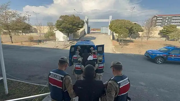 Jandarma'dan kaçak kazı operasyonu