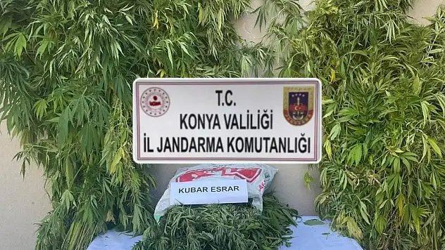 Jandarmadan uyuşturucu operasyonu: 2 gözaltı