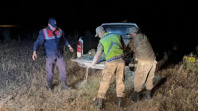 Kaçak avlanan 1,5 ton inci kefali suya geri bırakıldı