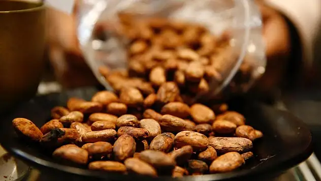 Kakao fiyatları uluslararası piyasada yüzde 30'un üzerinde geriledi