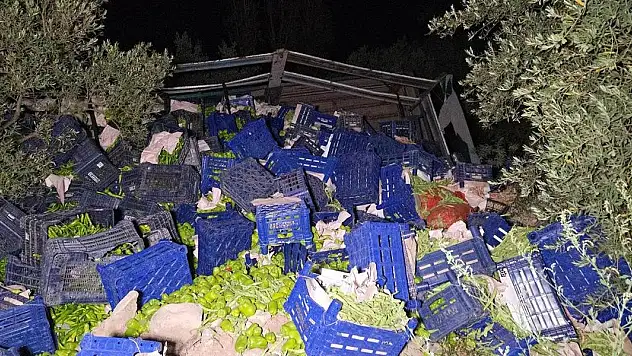 Kamyon devrildi, 10 ton biber etrafa dağıldı
