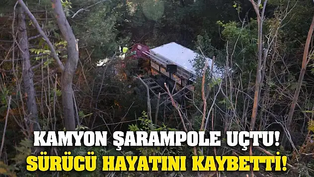Kamyon şarampole uçtu! Sürücü hayatını kaybetti!