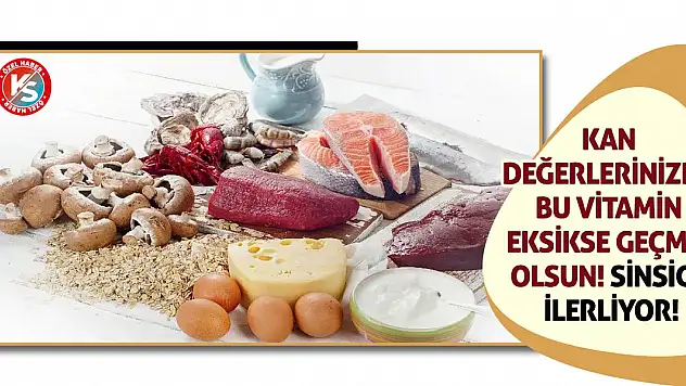 Kan Değerlerinizde Bu Vitamin Eksikse Geçmiş Olsun! Sinsice İlerliyor!