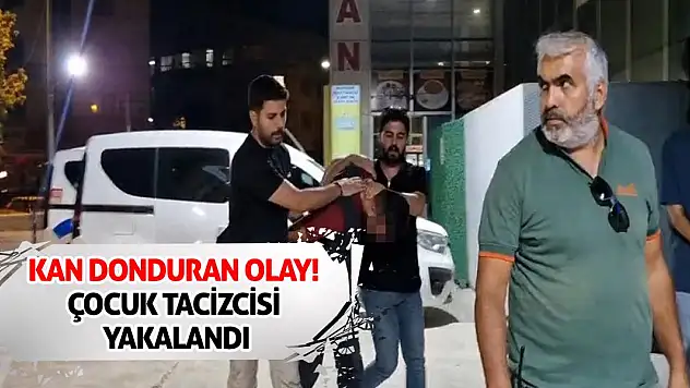 Kan donduran olay! Çocuk tacizcisi yakalandı