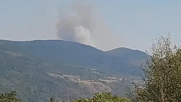Karabük'te orman yangını