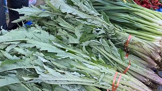 Karaciğer dostu enginarlar pazar tezgahlarında yerini aldı