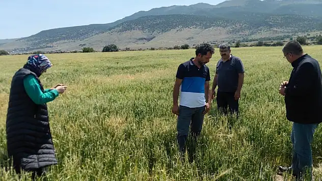 Karapınar'da dolu ve sel felaketinde etkilenen bölgelerde incelemelerde bulunuldu