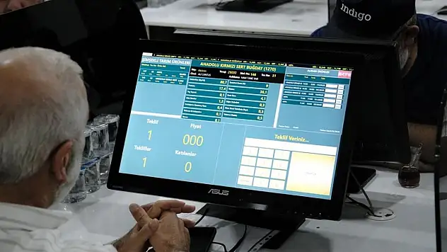 Karapınar'da hububat hasat sezonu açıldı