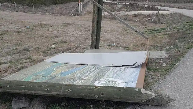 Karapınar'da lodos fırtınası etkili oldu