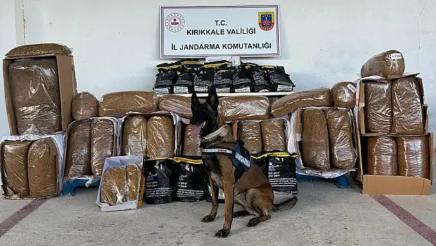 Kargo aracından 52,5 kilogram uyuşturucu çıktı!