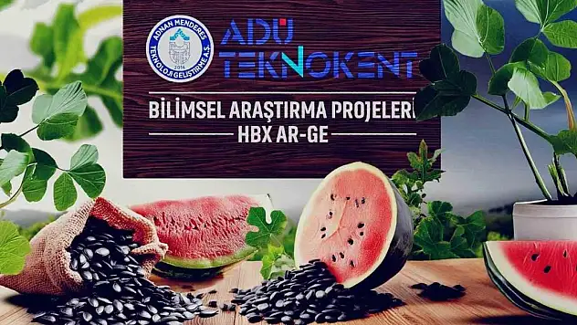 Karpuz sadece serinletmiyor! Faydası şaşırttı