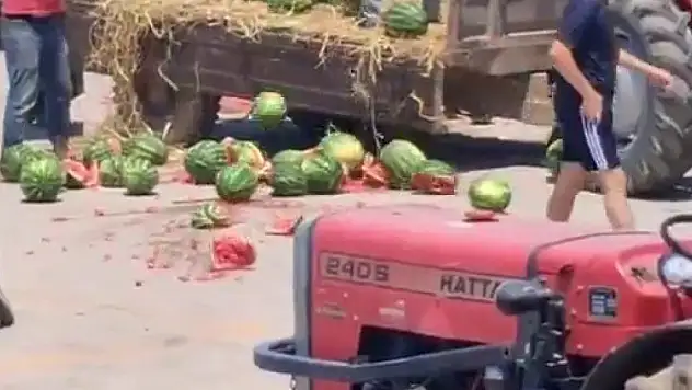 Karpuzları yere atıp, parçalayan üreticiler hakkında işlem başlatıldı