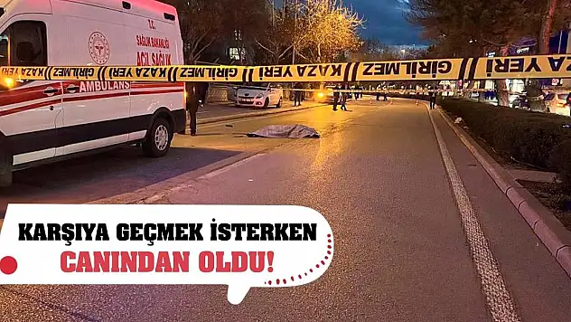 Karşıya geçmek isterken canından oldu!