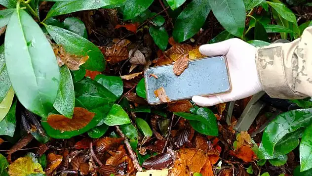 Kastamonu'da oğluyla birlikte ölü bulunan annenin cep telefonu da bulundu
