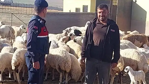 Kaybolan küçükbaş hayvanları jandarma dronla buldu