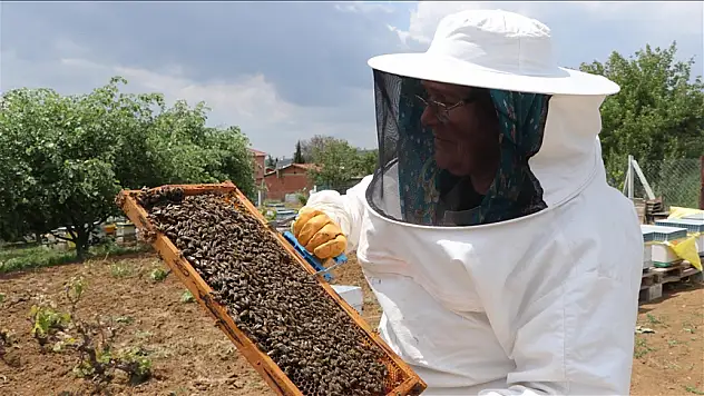 Kayınpederiyle Başladı, Türkiye'nin Bal Annesi Oldu!