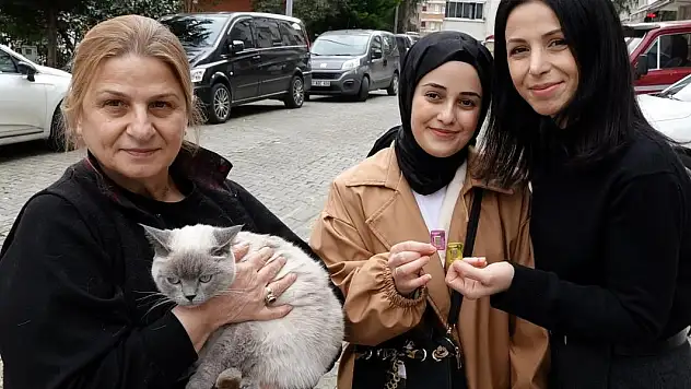 Kayıp kedisi 'Badem'i bulanı altınla ödüllendirdi