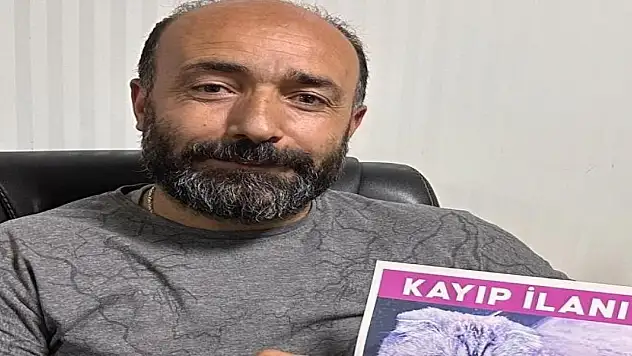 Kayıp kedisini buluna 15 Bin TL ödül verecek