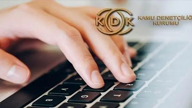 KDK, sahipsiz hayvanlara karşı ivedilikle tedbir alınmasını önerdi