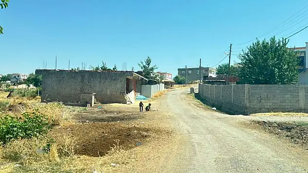 Kedinin ısırdığı çocuk entübe edildi, testlerde kuduz çıktı