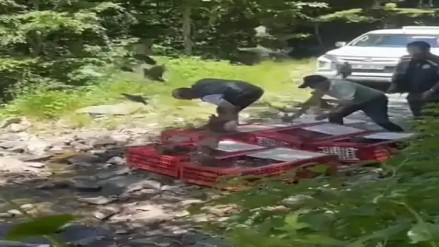 Kene ile mücadele timleri doğaya salındı