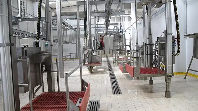 Kesimhanelere kamera zorunluluğu getiriliyor