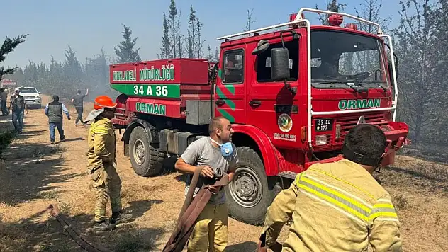 Kırklareli'nde korulukta yangın çıktı