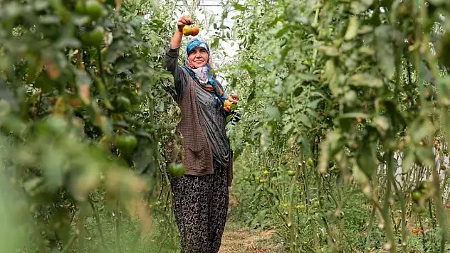 Kırsal kalkınma destekleri için son başvuru 21 Nisan