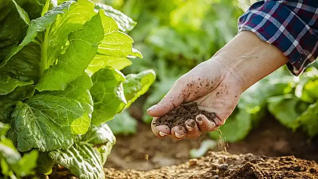 Kırsal kalkınma kapsamında 10,2 milyar liralık hibe verilecek