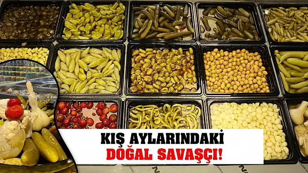 Kış aylarındaki doğal savaşçı!