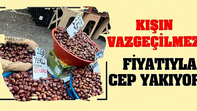 Kışın Vazgeçilmezi Fiyatıyla Cep Yakıyor!