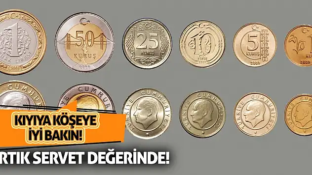 Kıyıya köşeye iyi bakın artık servet değerinde!