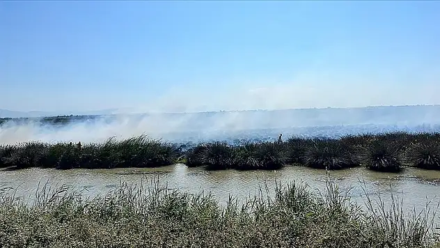 Kızılırmak Deltası Kuş Cenneti'nde yangın!