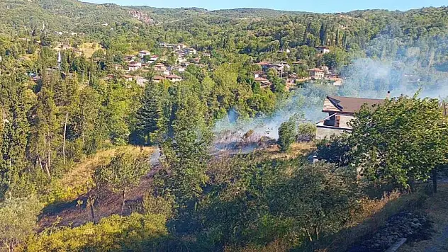Kocaeli'de orman yangını