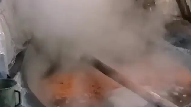 Kök boyacılığı yok olmakla karşı karşıya